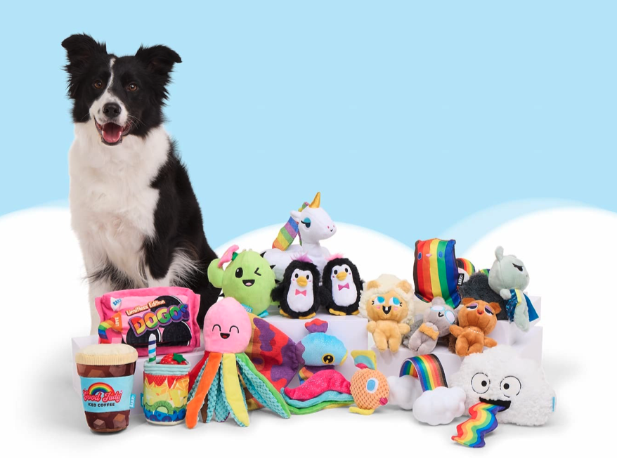  Pride-themed box with colorful treats and toys.