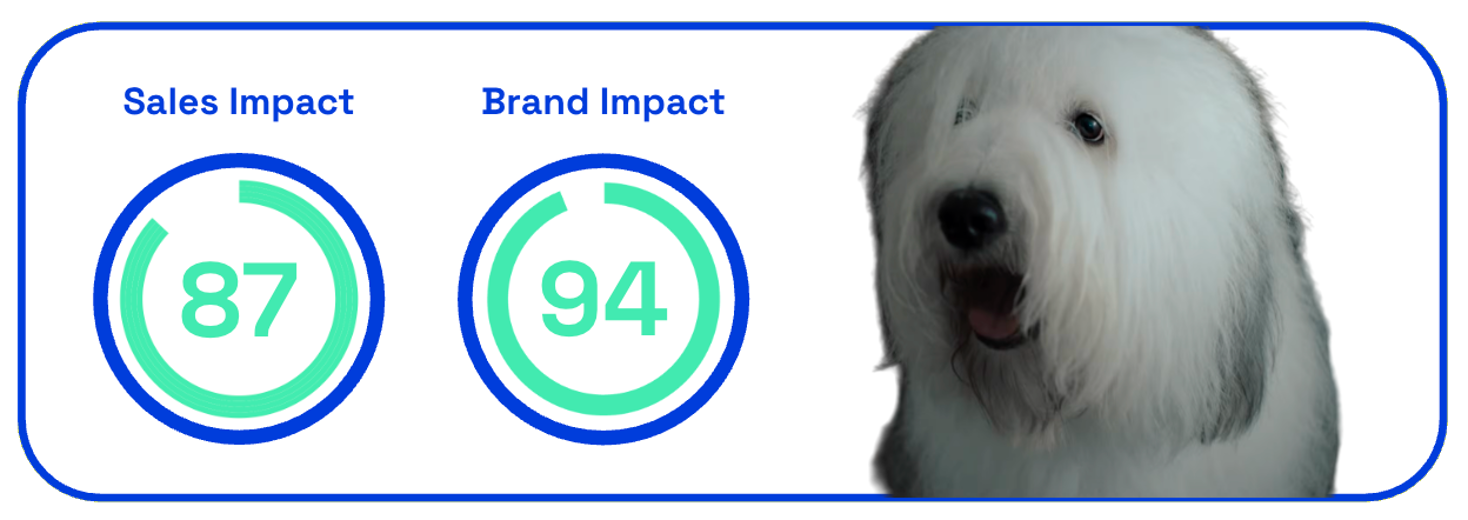 dulux1